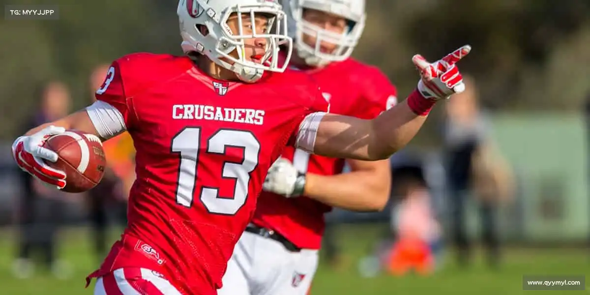 行业领先的理由